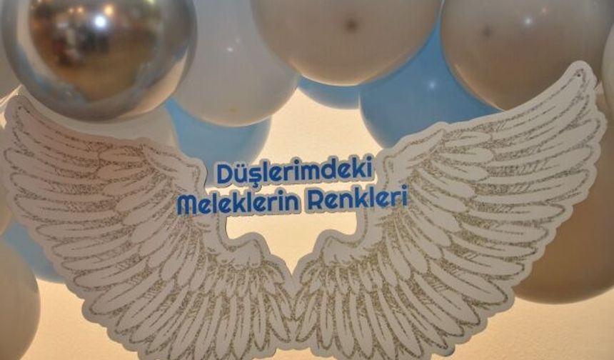 'DÜŞLERİMDEKİ MELEKLERİN RENKLERİ'